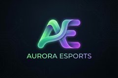 暗网合作品牌极光电竞